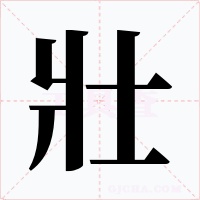 壯字的字形和写法