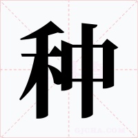 种字的字形和写法