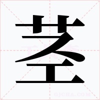 茎字字形
