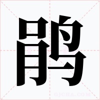 鹃字字形