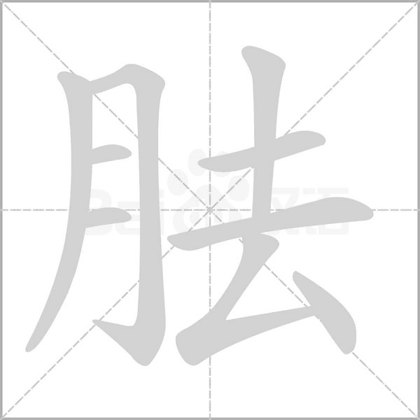 胠字笔顺图