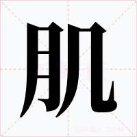 肌字的字形和写法