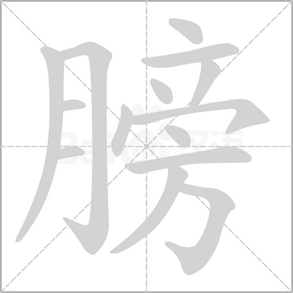膀字笔顺图