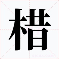 棤字字形