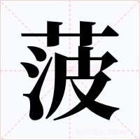 菠字的字形和写法