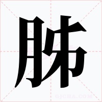 胏字的字形和写法