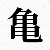 亀字的字形和写法