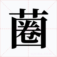 蔨字的字形和写法