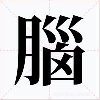 腦字字形