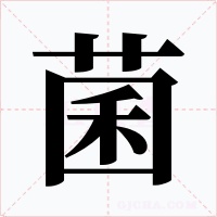 菌字字形