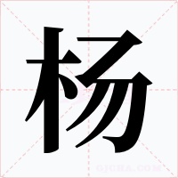 杨字的字形和写法