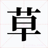 草字的字形和写法