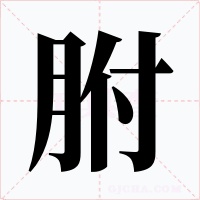 胕字字形