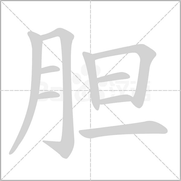 胆字笔顺图
