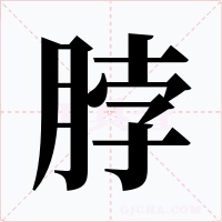 脖字的字形和写法