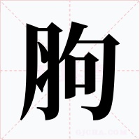 胊字的字形和写法