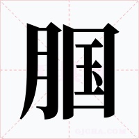 腘字字形