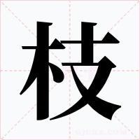 枝字字形