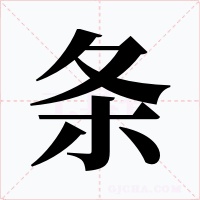 条字的字形和写法