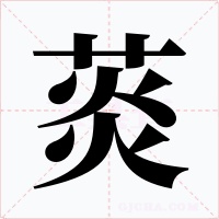 菼字的字形和写法