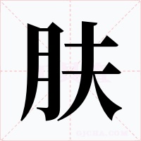 肤字字形