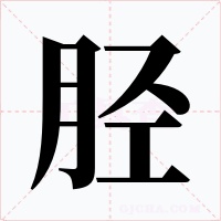 胫字字形