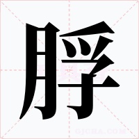 脬字的字形和写法