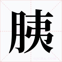 胰字字形