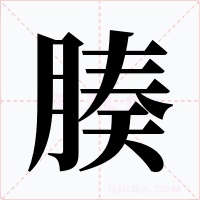 腠字的字形和写法