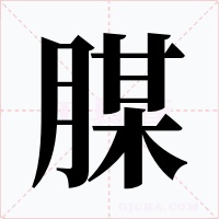 腜字的字形和写法