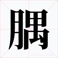 腢字字形