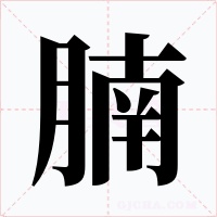 腩字字形