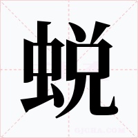 蜕字字形