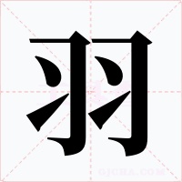 羽字的字形和写法