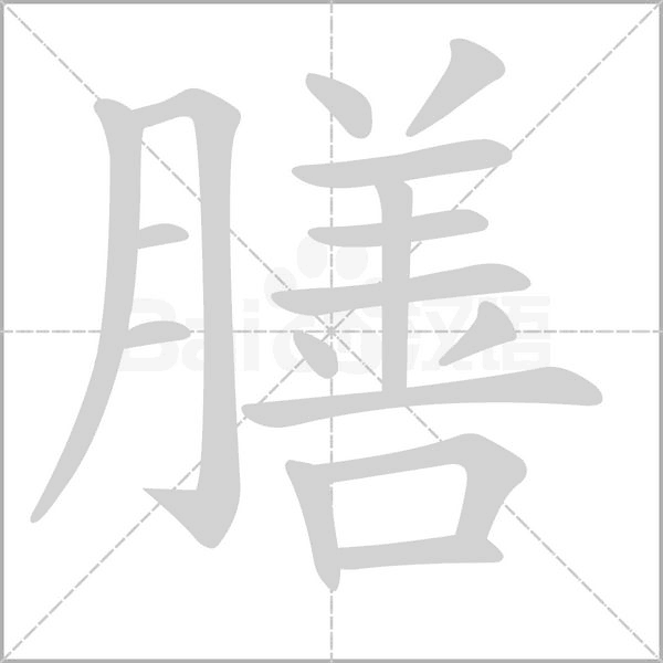 膳字笔顺图