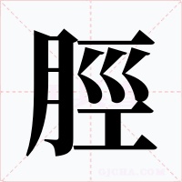 脛字字形