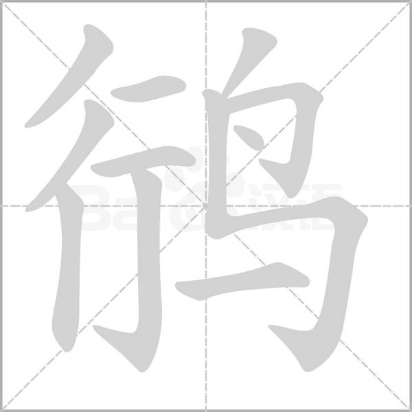 鸻字笔顺图
