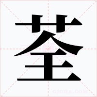 荃字的字形和写法