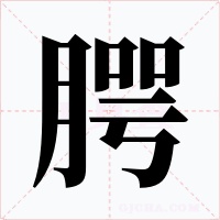腭字的字形和写法