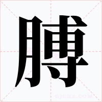 膊字的字形和写法