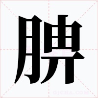 腗字字形