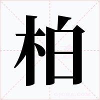 柏字的字形和写法