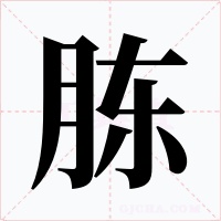 胨字的字形和写法