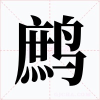 鹧字字形