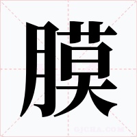 膜字的字形和写法