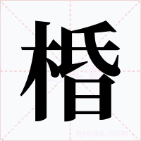 棔字字形