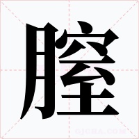 膣字的字形和写法