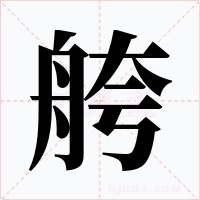 舿字的字形和写法