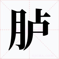 胪字的字形和写法