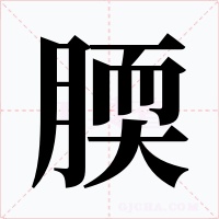 腝字的字形和写法